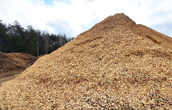 zrębka-biomasa